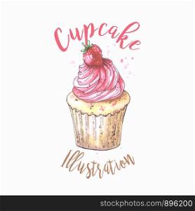 Hand drawn vanilla cupcake with cherry on top, vintage colorful food sketches, isolated on white background. Vector illustration.. Hand drawn vanilla cupcake with strawberry on top, vintage colorful food sketches, isolated on white background. Vector illustration.