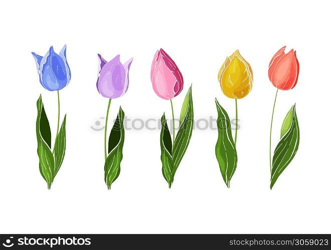 Hand drawn vector colorful tulips set. Flowers isolated on background. Vector. Flowers isolated on background. Vector. Hand drawn vector colorful tulips set.
