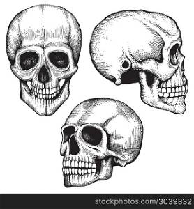 Hand drawn vector death scary human skulls collection. Hand drawn vector death scary human skulls collection. Skeleton head sketch with eyes and teeth