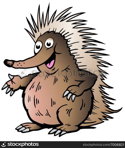 Hand-drawn Vector illustration of an Echidna