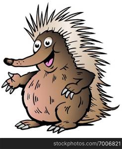 Hand-drawn Vector illustration of an Echidna