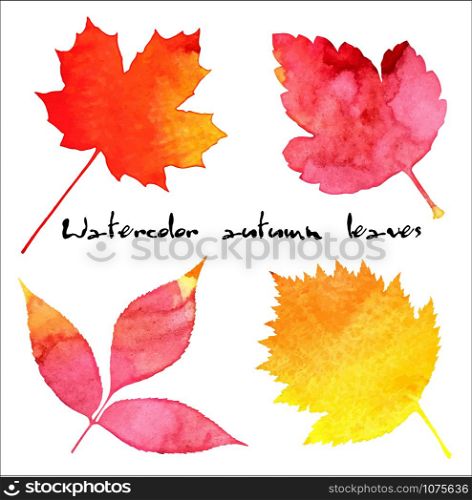 Hand drawn vector set of autumn leaves