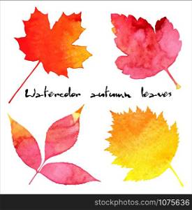 Hand drawn vector set of autumn leaves