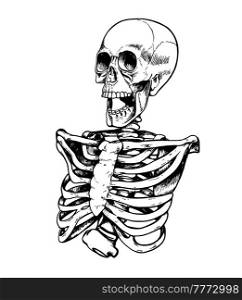Hand drawn vector sketch of human skeleton on a white background
