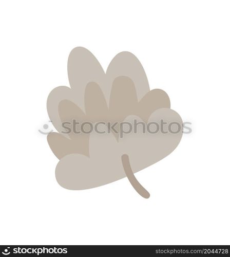 hand drawn vector spruce cones, pine winter cones. Elements of nature and Christmas decor in doodle scandinavian style illustration.. hand drawn vector spruce cones, pine winter cones. Elements of nature and Christmas decor in doodle scandinavian style illustration