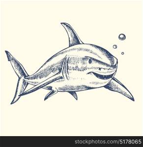 Hand drawn vector toothy shark swimming in the water