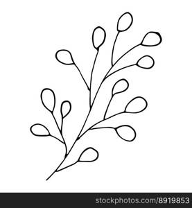 Hand drawn vector tree branch Cute herb clipart Botanical illustration