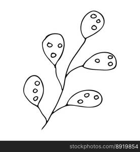 Hand drawn vector tree branch Cute herb clipart Botanical illustration