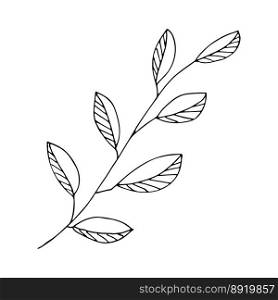 Hand drawn vector tree branch Cute herb clipart Botanical illustration