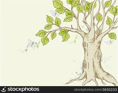 hand drawn vector tree with green leaves