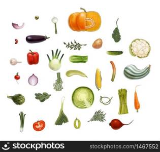 Hand-drawn vector vegetables, isolated on transparent background - tomato, spinach, vegetable marrow, corn, rosemary, green peas and beet olive eggplant salad onion leek, potato, carrot and so on. Vegetables sesign set