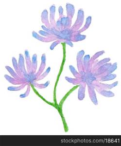 Hand drawn vector violet watercolor flowers