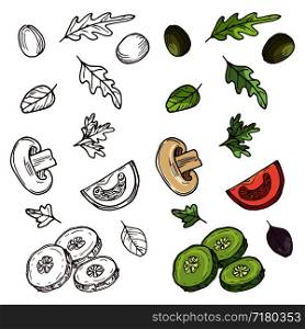 Hand drawn vegan salad ingredients. Tomato, cucumber, olives, greens isolated on white background. Vector illustration. Hand drawn vegan salad ingredients. Tomato, cucumber, olives, greens