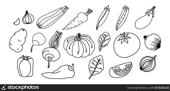 Hand drawn vegetable outlines, perfect for coloring pages in children’s books or educational materials. The set of vector icons adds versatility and customization options for a range of projects.. Hand drawn vegetable outlines or coloring pages
