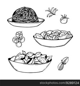 Hand-drawn vegetable salad. Vector sketch  illustration. . Vegetable salad. Sketch  illustration. 