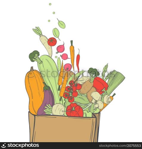 Hand drawn vegetables in paper bag on white background. Vector sketch illustration. . Sketch vegetables. Vector illustration