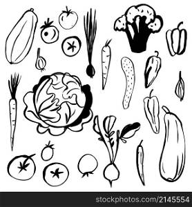 Hand drawn vegetables on white background. Vector sketch illustration.. Hand drawn vegetables on white background.