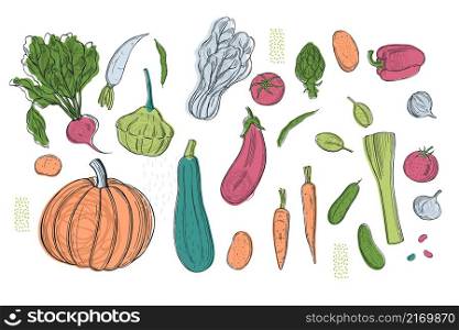Hand-drawn vegetables on white background. Vector sketch illustration. . Sketch vegetables. Vector illustration