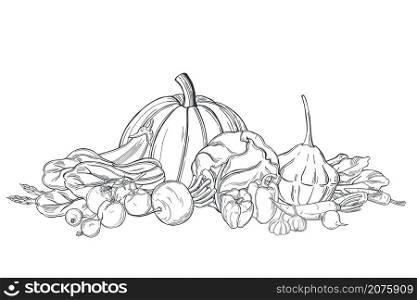 Hand drawn vegetables on white background. Vector sketch illustration. . Vegetables. Sketch illustration