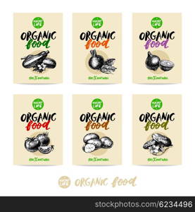 Hand drawn vegetables sale tag banners. 100% natural organic eco foods green product labels set. Sketch vintage vector illustrations.