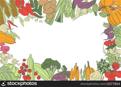 Hand drawn vegetables. Vector background. Sketch illustration. . Sketch vegetables. Vector illustration