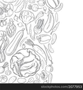 Hand drawn vegetables. Vector background. Sketch illustration. . Sketch vegetables. Vector background