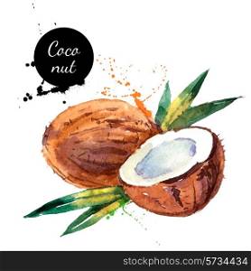 Hand drawn watercolor painting on white background. Vector illustration of fruit coconut