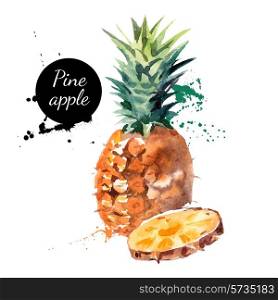 Hand drawn watercolor painting on white background. Vector illustration of fruit pineapple