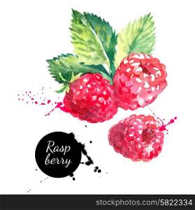 Hand drawn watercolor painting raspberry on white background. Vector illustration of berries