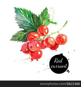 Hand drawn watercolor painting red currants on white background. Vector illustration of berries