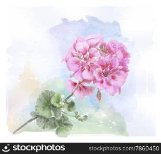 hand drawn watercolor pink geranium flower