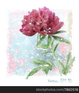 hand drawn watercolor red peony flower