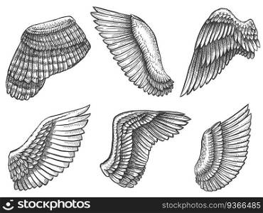 Hand drawn wings. Sketch bird or angel wing with feathers, engraved different heraldic symbols for tattoo or emblem vintage vector set. Wing elements in different position and shape. Hand drawn wings. Sketch bird or angel wing with feathers, engraved different heraldic symbols for tattoo or emblem vintage vector set