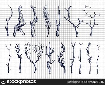 Hand drawn wood branches collection. Wood sketches on notebook page. Vector illustration. Hand drawn wood branches collection