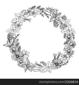Hand-drawn wreath of medicinal herbs.  Vector sketch  illustration.. Medicinal herbs. Sketch  illustration.