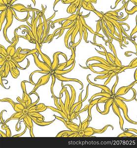 Hand drawn Ylang-Ylang flowers on white background. Vector seamless pattern. . Ylang-Ylang flowers on white background.