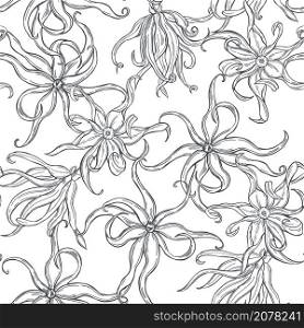 Hand drawn Ylang-Ylang flowers on white background. Vector seamless pattern. . Ylang-Ylang flowers on white background.