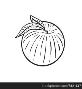  Hand engraved peach with leaves isolated object. Vintage black sketch on white background. Fruit contour drawing. Healthy organic farmed food vector