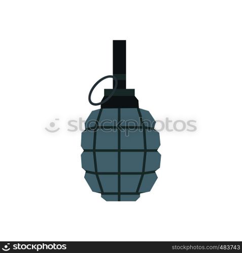 Hand grenade flat icon isolated on white background. Hand grenade flat icon