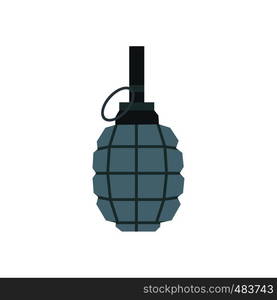 Hand grenade flat icon isolated on white background. Hand grenade flat icon