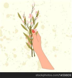 Hand hold bouquet with pink cherry blossom and branch of olive leaf in flat style. Vector decorative flowers.. Hand hold bouquet with pink cherry blossom and branch of olive leaf