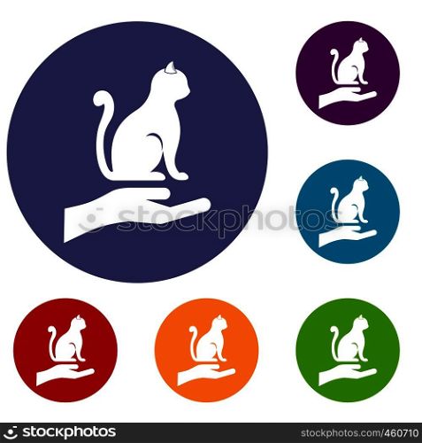 Hand holding a cat icons set in flat circle reb, blue and green color for web. Hand holding a cat icons set