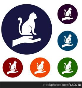 Hand holding a cat icons set in flat circle reb, blue and green color for web. Hand holding a cat icons set