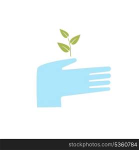 hand holding a sprouting plant and protects it
