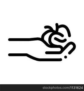 Hand Holding Hair Icon Vector. Outline Hand Holding Hair Sign. Isolated Contour Symbol Illustration. Hand Holding Hair Icon Vector Outline Illustration