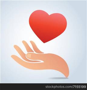 hand holding the heart vector