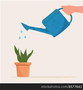 Hand holding watering can. Watering home plant in pot.. Hand holding watering can. Watering home plant in pot
