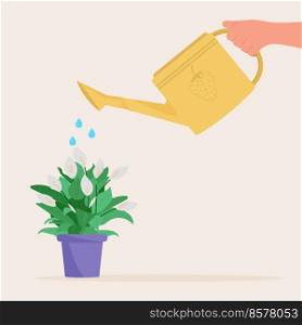Hand holding watering can. Watering home plant in pot.. Hand holding watering can. Watering home plant in pot