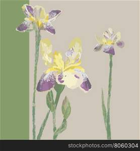 Hand illustrated iris flowers, greetings card