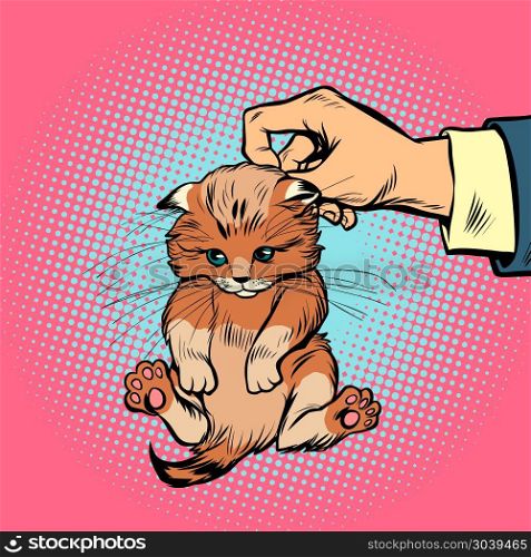 hand kitten holds by the scruff. hand kitten holds by the scruff. Comic book cartoon pop art retro illustration. hand kitten holds by the scruff